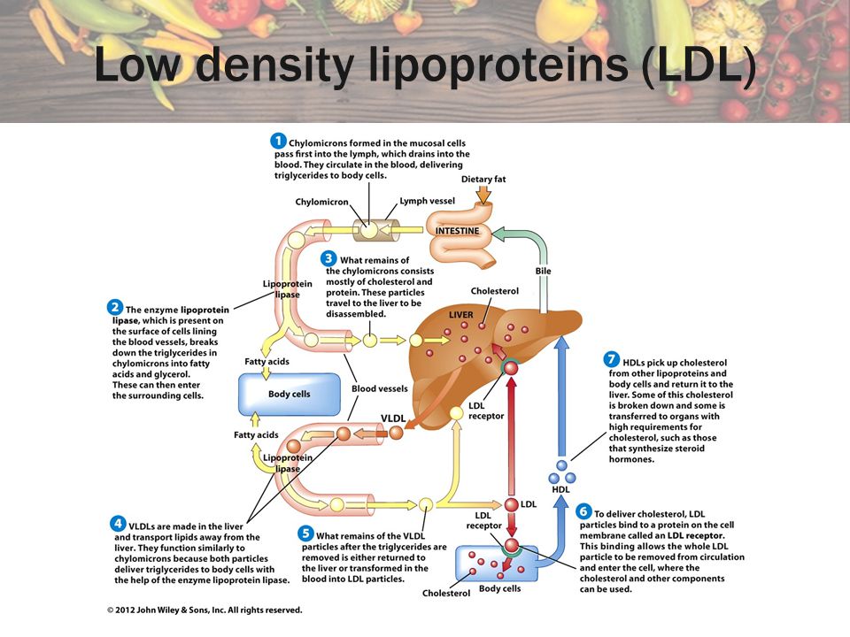 Low density lipoproteins (LDL)
