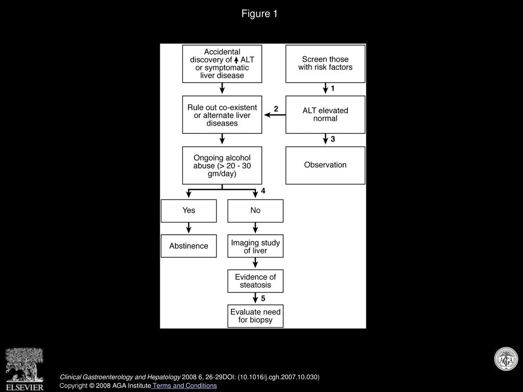 Figure 1 American Gastroenterological Association Institute 2002 guidelines for evaluation of NAFLD.