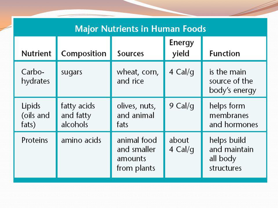 Humans and Nutrition