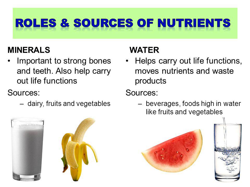 roles & sources of nutrients