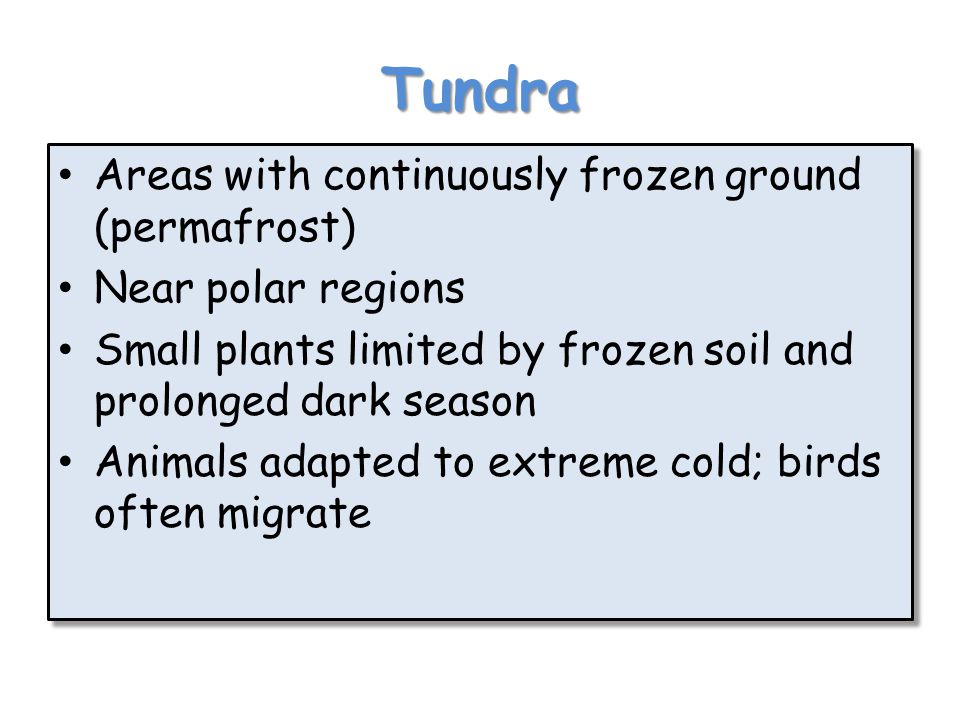Tundra Areas with continuously frozen ground (permafrost)