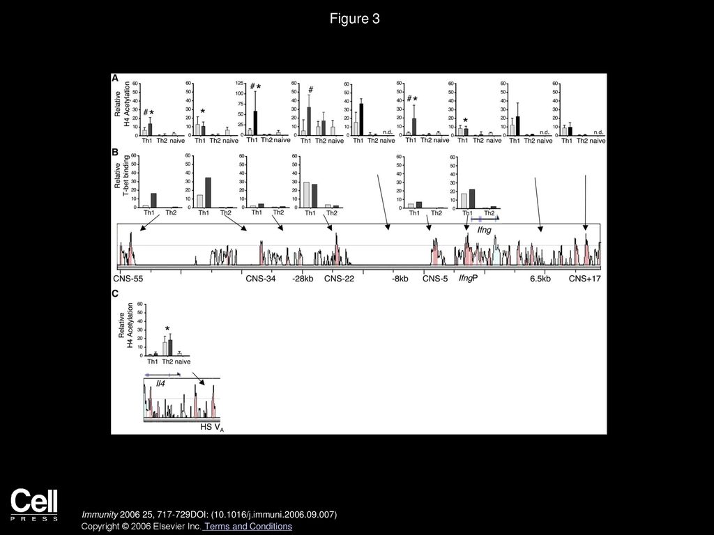 Figure 3 Histone Acetylation and T-bet Binding to CNS and Non-CNS Elements in the Ifng Locus.
