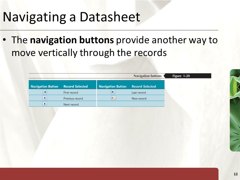 Navigating a Datasheet
