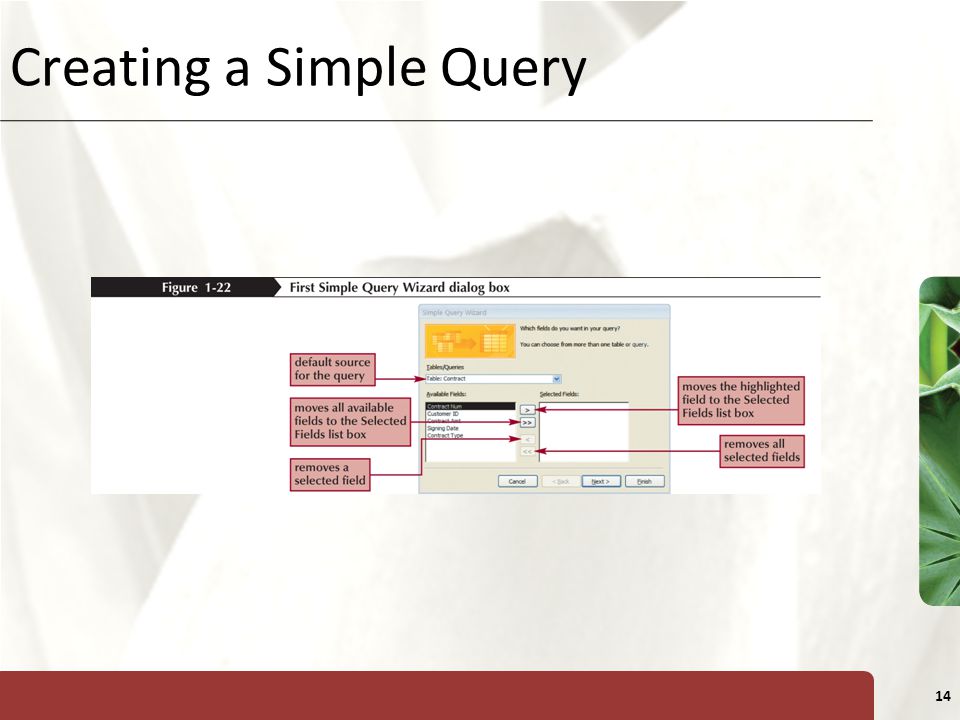 Creating a Simple Query