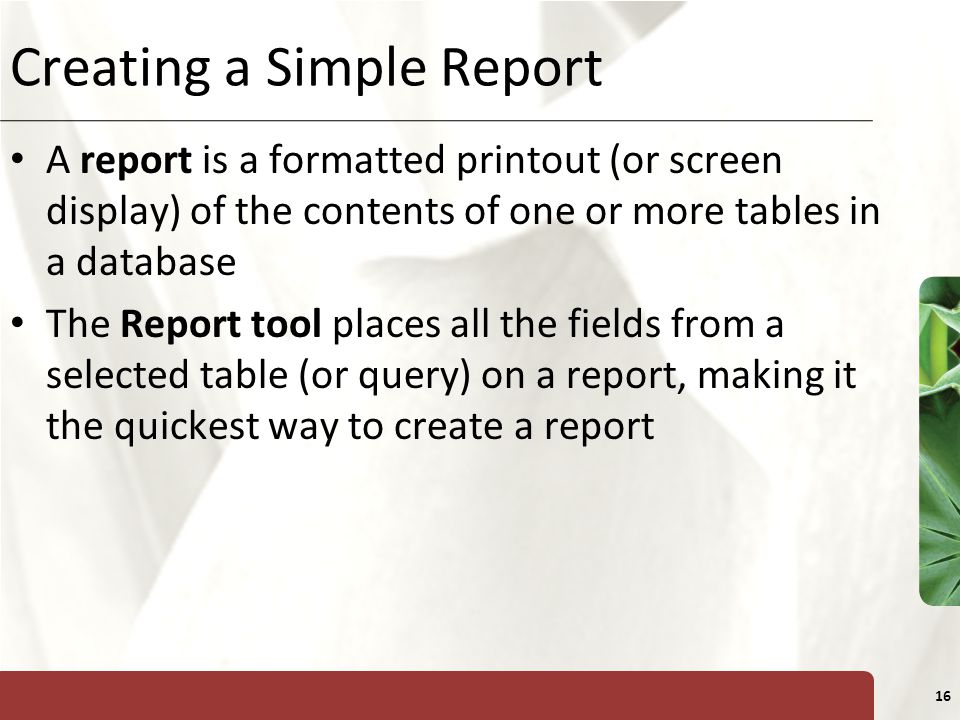 Creating a Simple Report