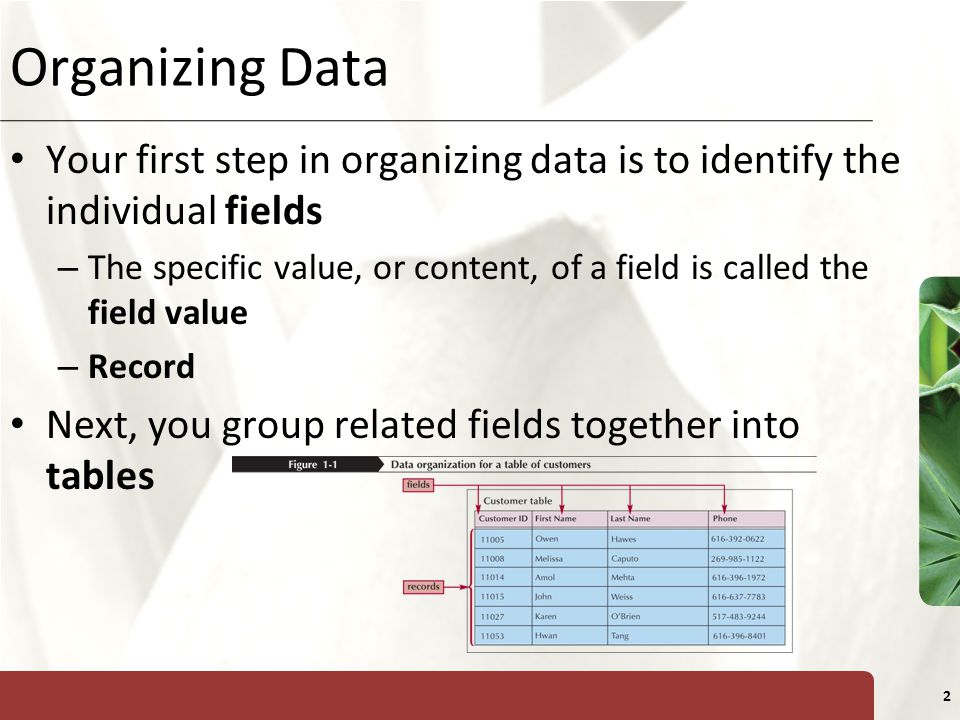 Organizing Data Your first step in organizing data is to identify the individual fields.