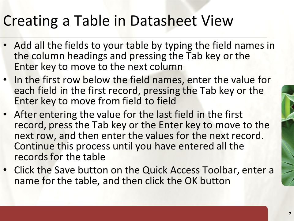 Creating a Table in Datasheet View