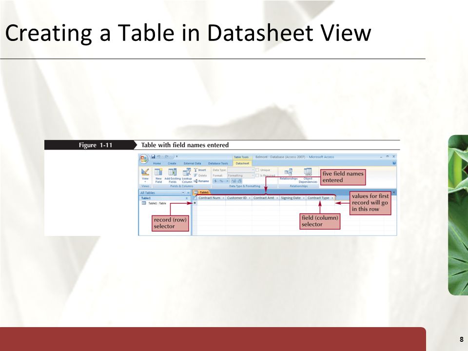 Creating a Table in Datasheet View