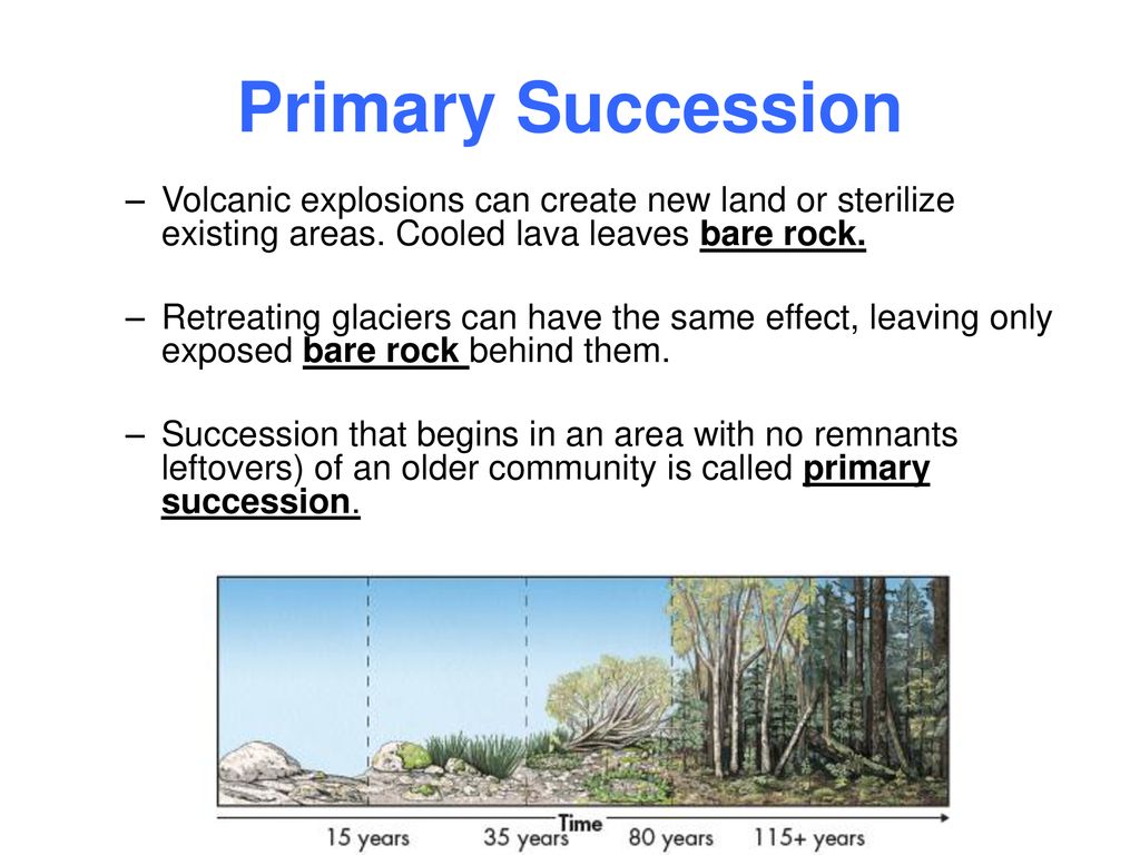 Lesson Overview Succession Ppt Download