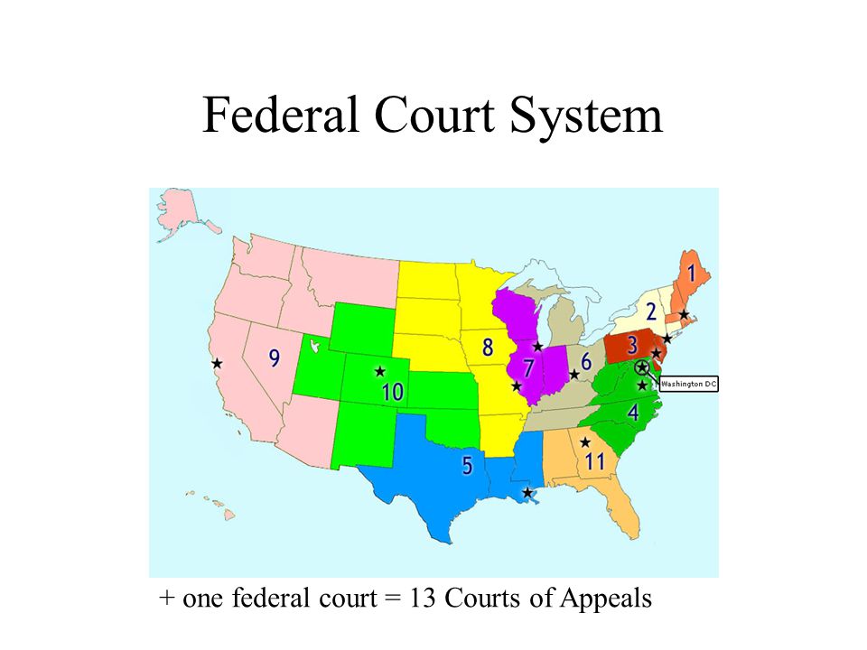 Federal Court System + one federal court = 13 Courts of Appeals