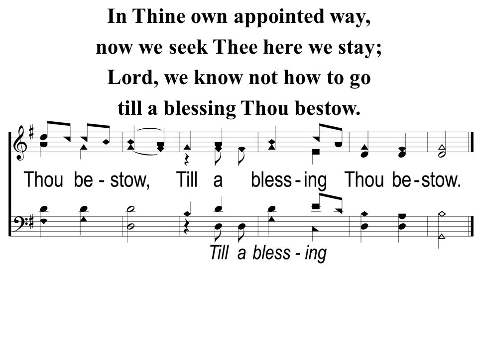 In Thine own appointed way, now we seek Thee here we stay;