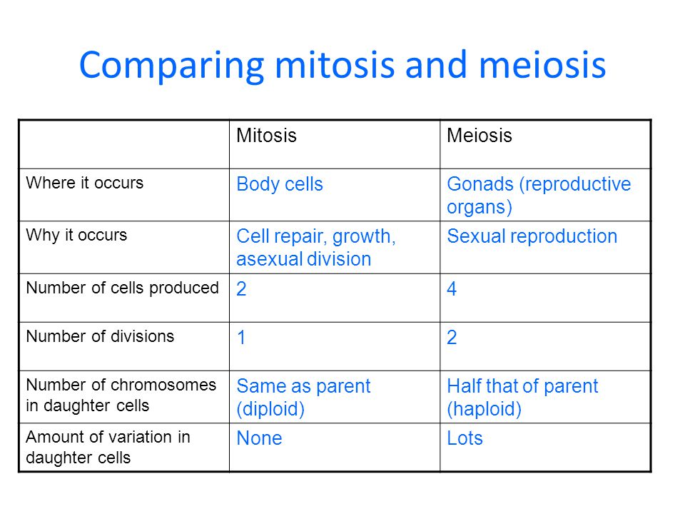 Comparing Mitosis And Meiosis Worksheets Tutsstar.