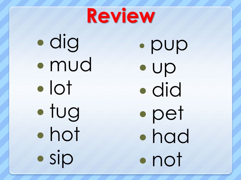 Review dig mud lot tug hot sip pup up did pet had not