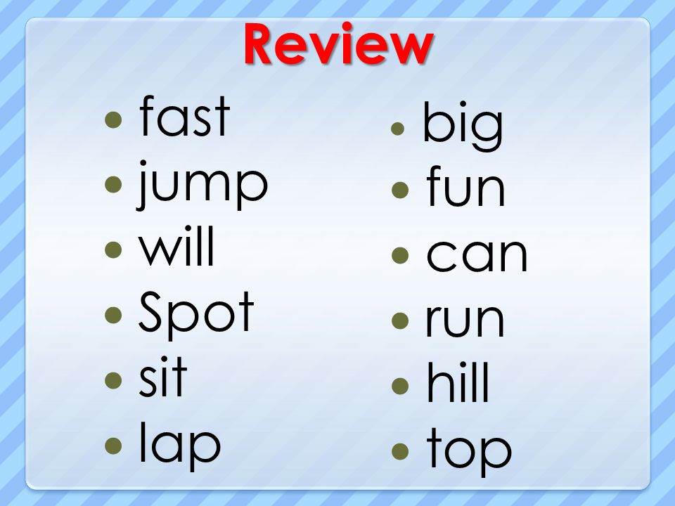 Review fast jump will Spot sit lap big fun can run hill top