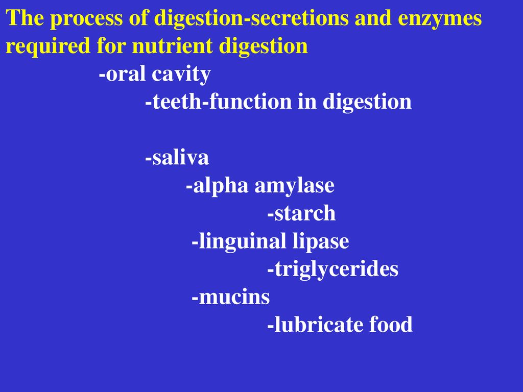 secretions, the process of digestion-secretions and enzymes required for