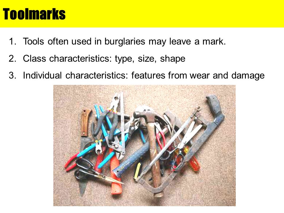 Toolmarks Tools often used in burglaries may leave a mark.