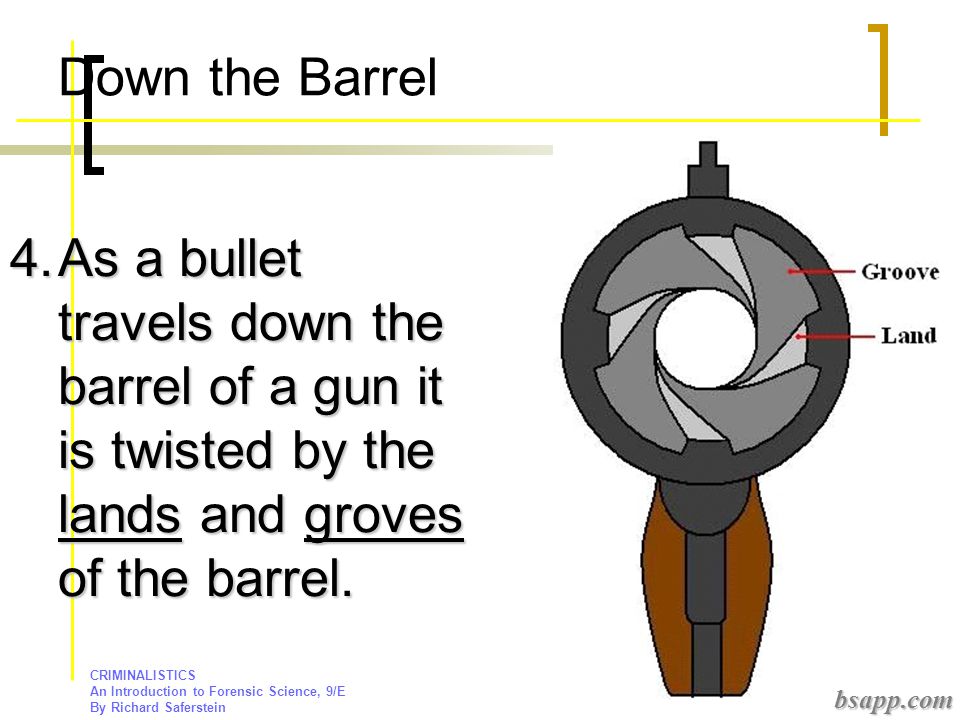 Down the Barrel As a bullet travels down the barrel of a gun it is twisted by the lands and groves of the barrel.