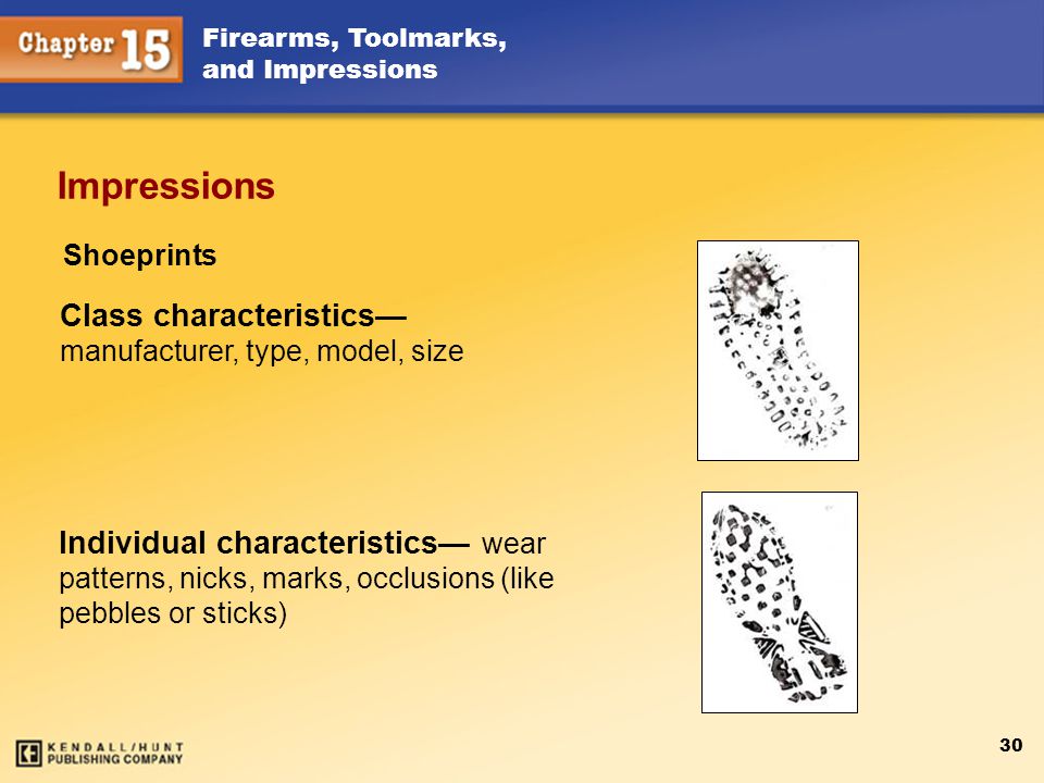 Impressions Class characteristics— manufacturer, type, model, size