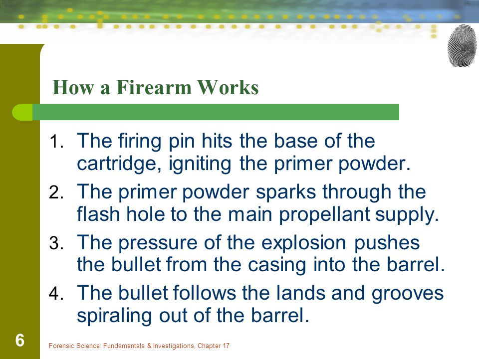 How a Firearm Works The firing pin hits the base of the cartridge, igniting the primer powder.