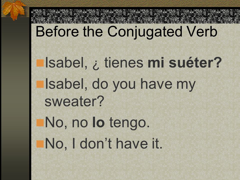 Before the Conjugated Verb