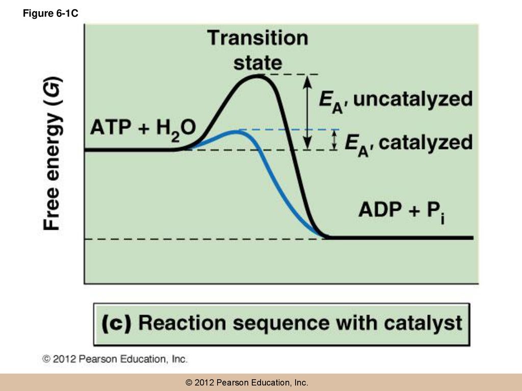 Figure 6-1C