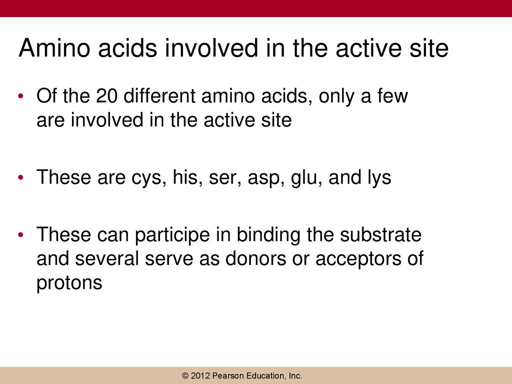 Amino acids involved in the active site