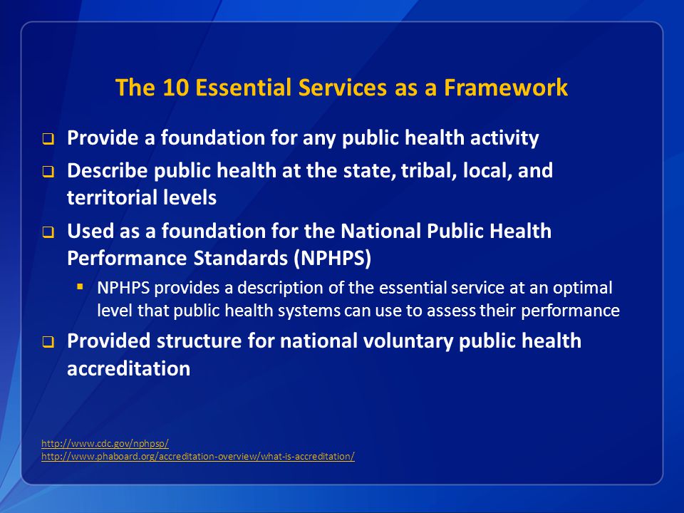 The 10 Essential Services as a Framework