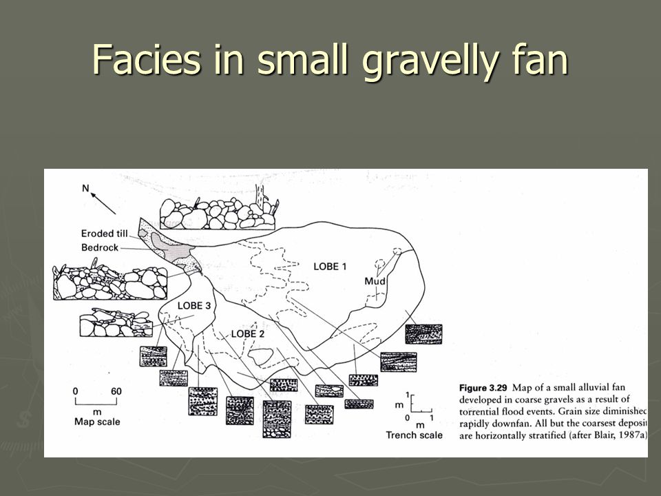 Facies in small gravelly fan