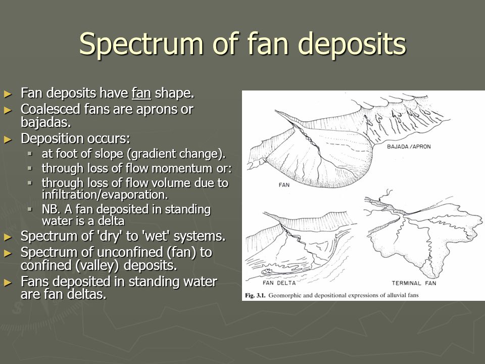 Spectrum of fan deposits