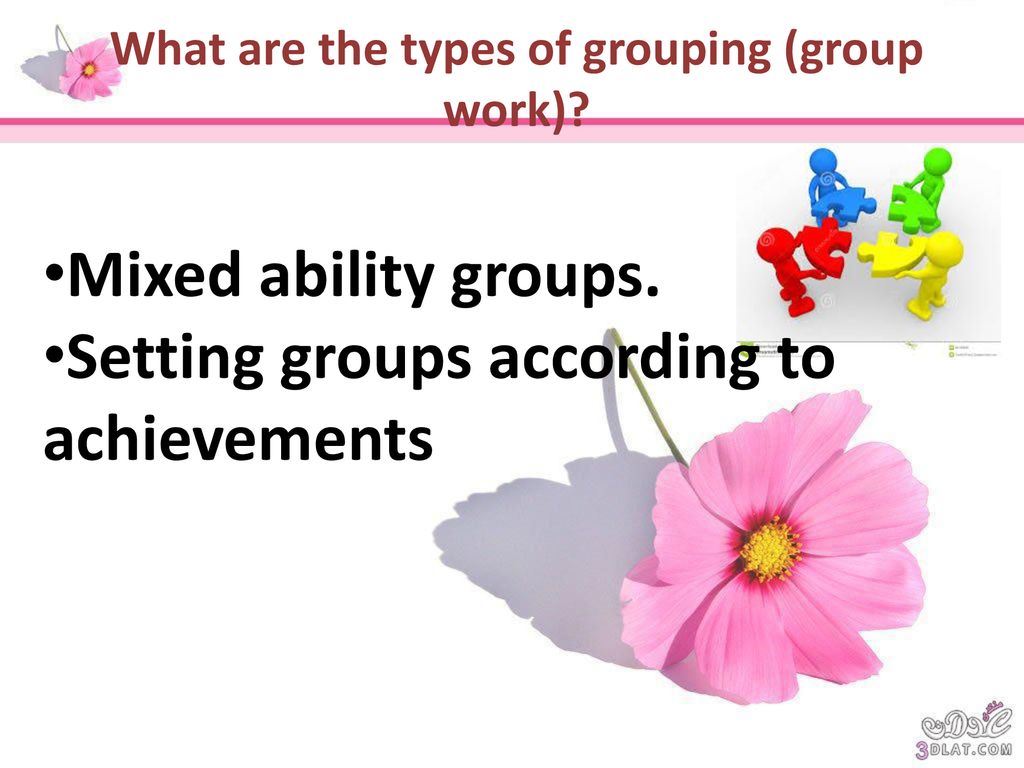 What are the types of grouping (group work)