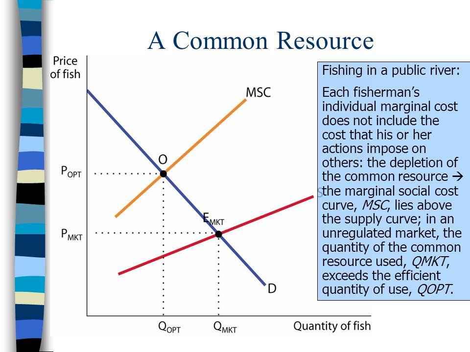 A Common Resource Fishing in a public river: