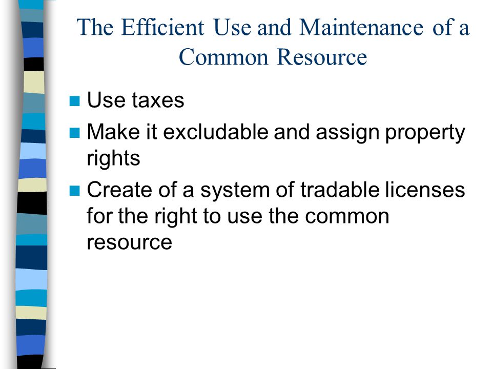 The Efficient Use and Maintenance of a Common Resource