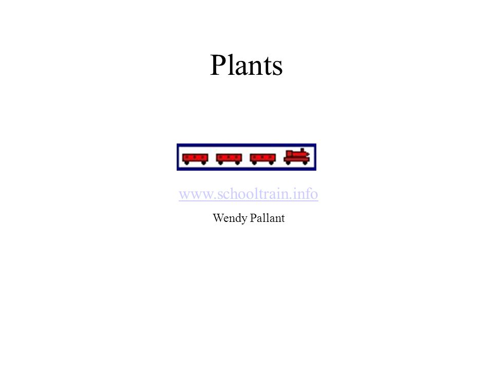 Plants   Wendy Pallant