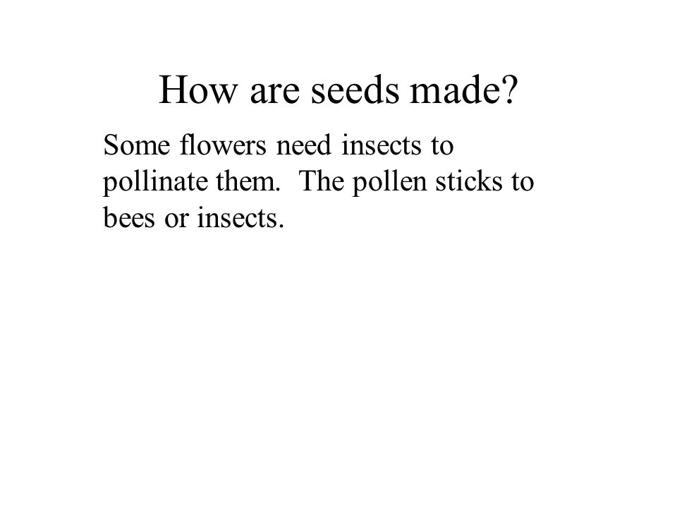 How are seeds made. Some flowers need insects to pollinate them.