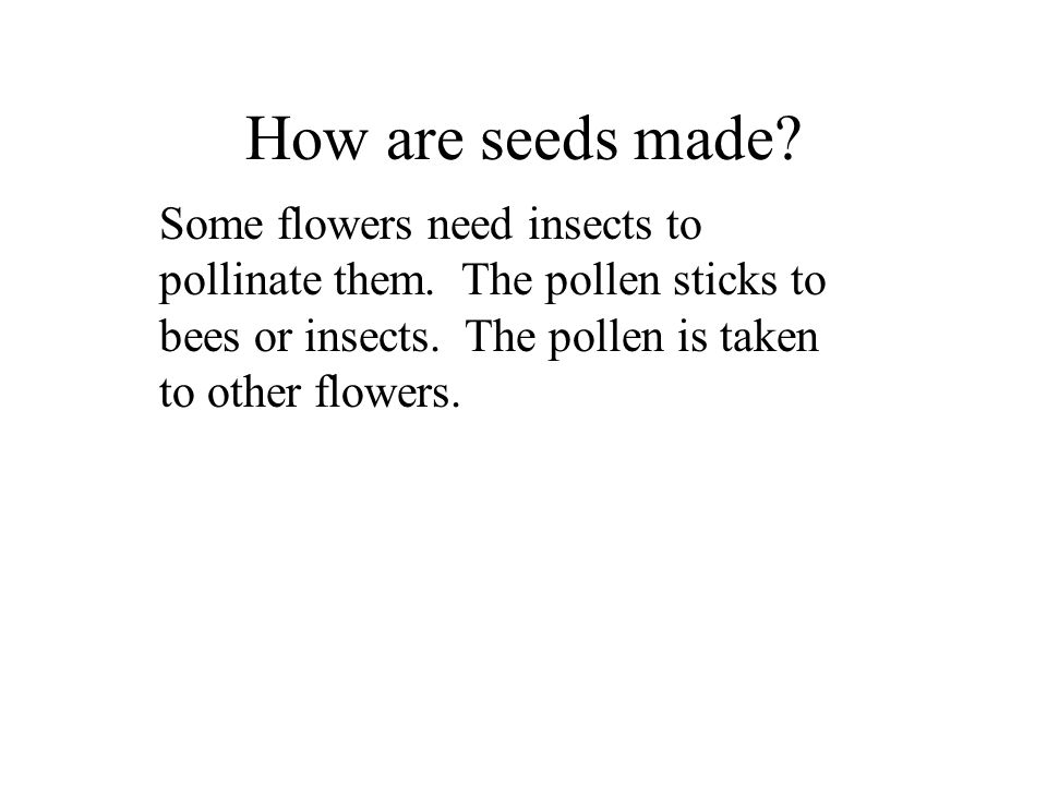 How are seeds made. Some flowers need insects to pollinate them.