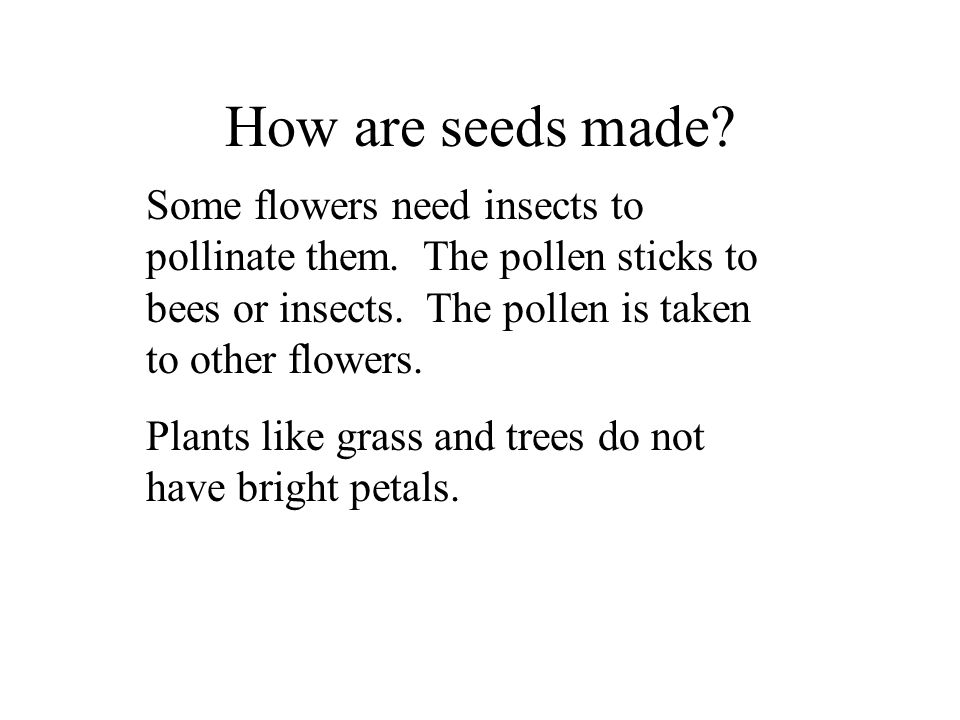 How are seeds made Some flowers need insects to pollinate them. The pollen sticks to bees or insects. The pollen is taken to other flowers.
