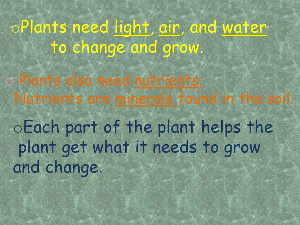 Plants need light, air, and water to change and grow.