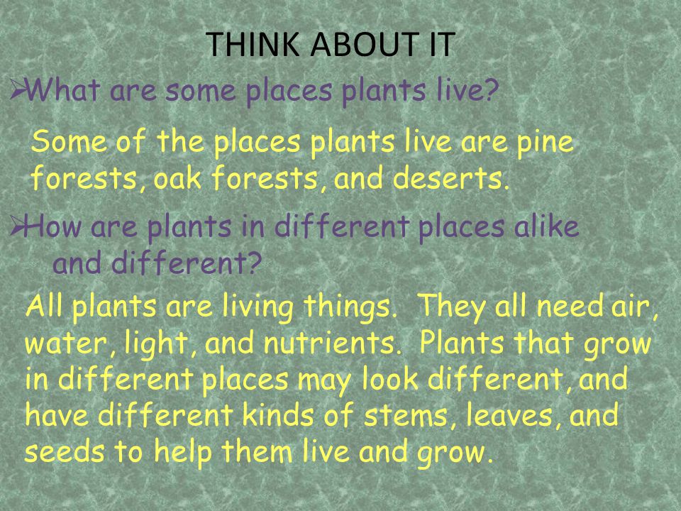 THINK ABOUT IT What are some places plants live
