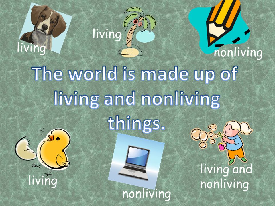 The world is made up of living and nonliving things.