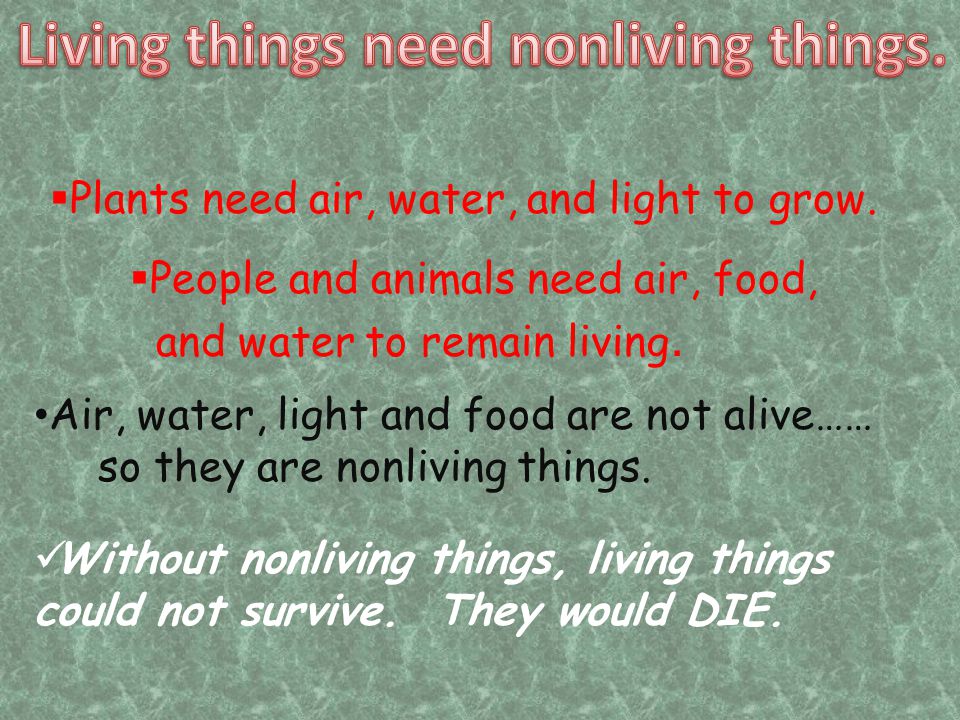 Living things need nonliving things.