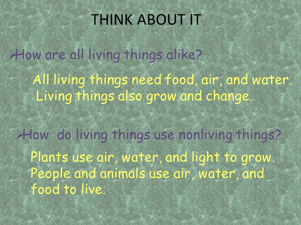 THINK ABOUT IT How are all living things alike