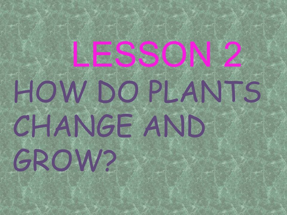 LESSON 2 HOW DO PLANTS CHANGE AND GROW