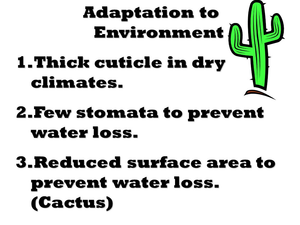 Adaptation to Environment