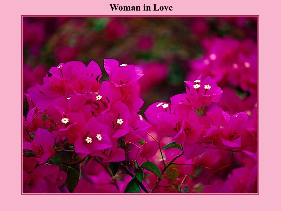 Woman in Love