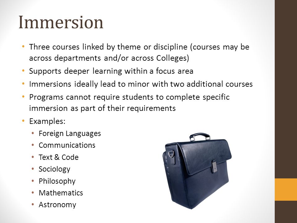 Immersion Three courses linked by theme or discipline (courses may be across departments and/or across Colleges)