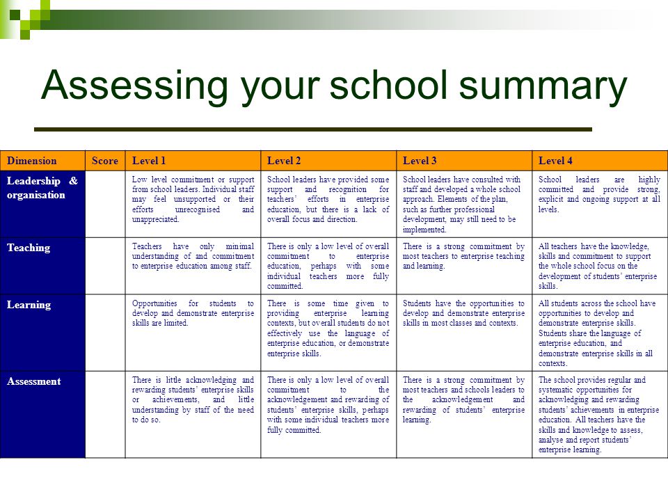 Assessing your school summary