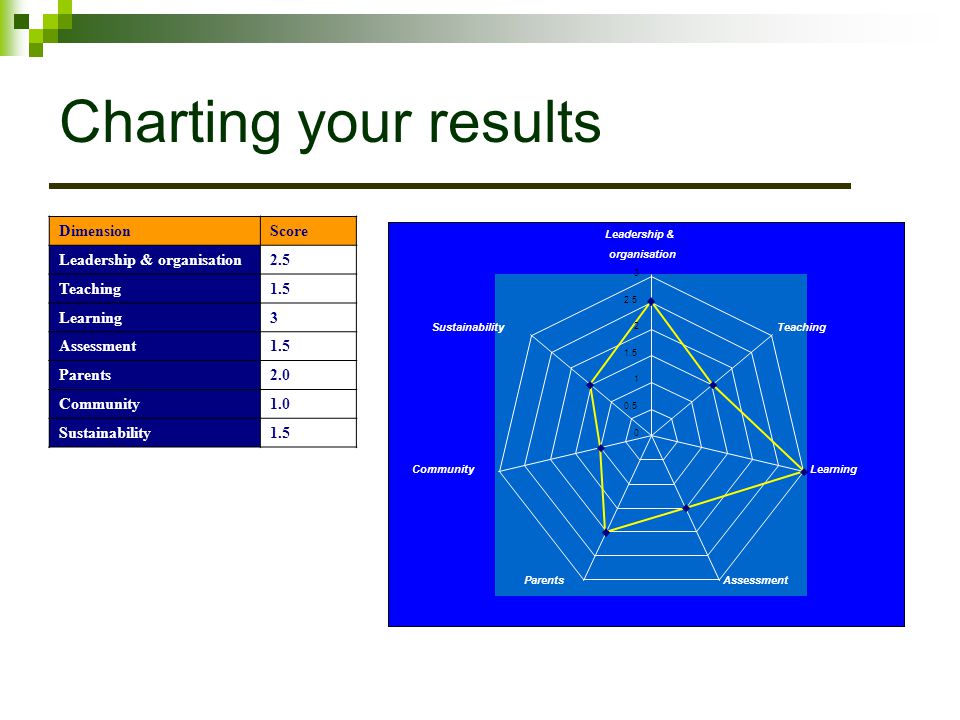 Charting your results Dimension Score Leadership & organisation 2.5