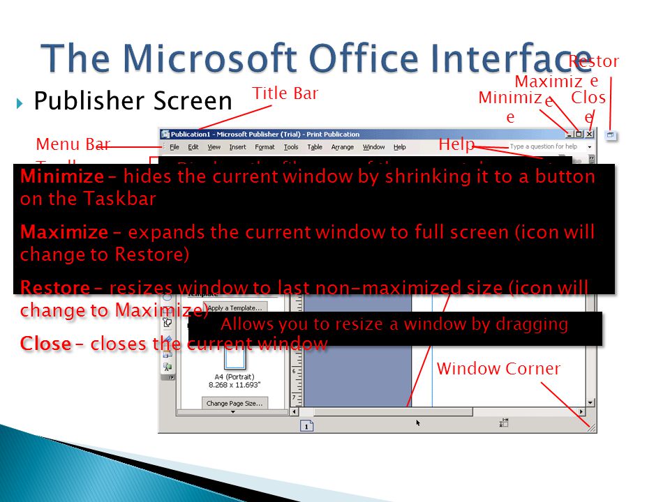 The Microsoft Office Interface