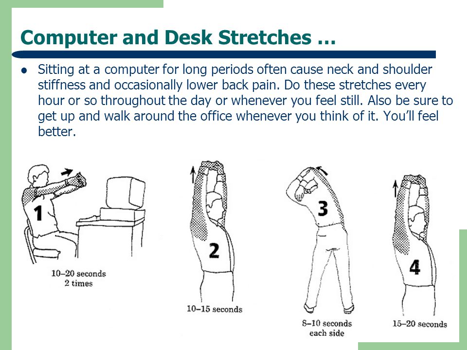 Computer and Desk Stretches …