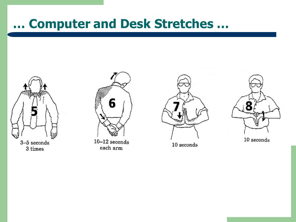 … Computer and Desk Stretches …